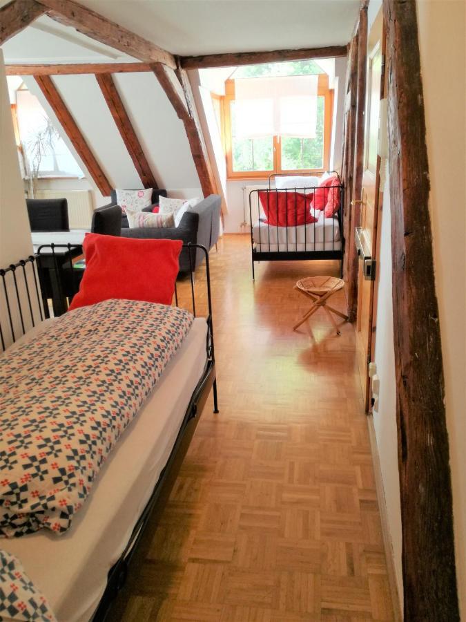 Hôtel Rosys Fewos Steigstrasse S1 à Meersburg Extérieur photo